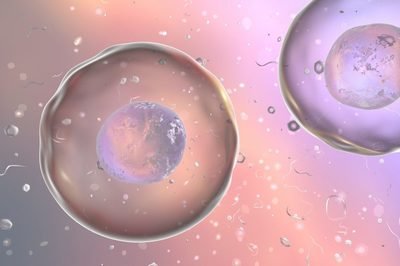 取卵9个一般配成后有多少胚胎？