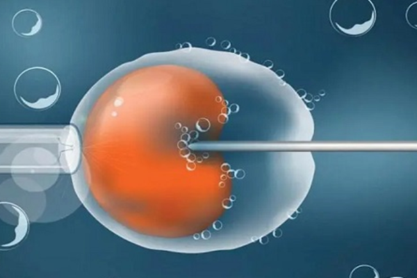 2023供卵生男孩费用明细公开！贵州供卵试管助孕机构排名介绍