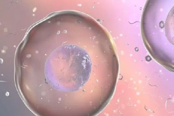 优势卵泡是监测排卵时的一个术语,即卵泡中有优势的卵泡或成熟卵泡