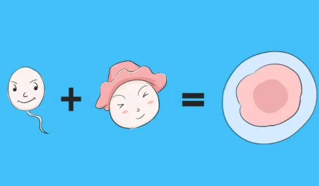 赴泰国做试管婴儿，移植后胚胎着床失败应该怎么办？插图